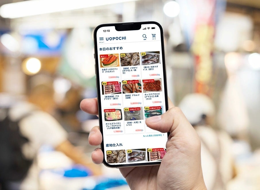 飲食店専門の鮮魚仕入サイト【魚ポチ】 | 旬の魚をスマホで発注